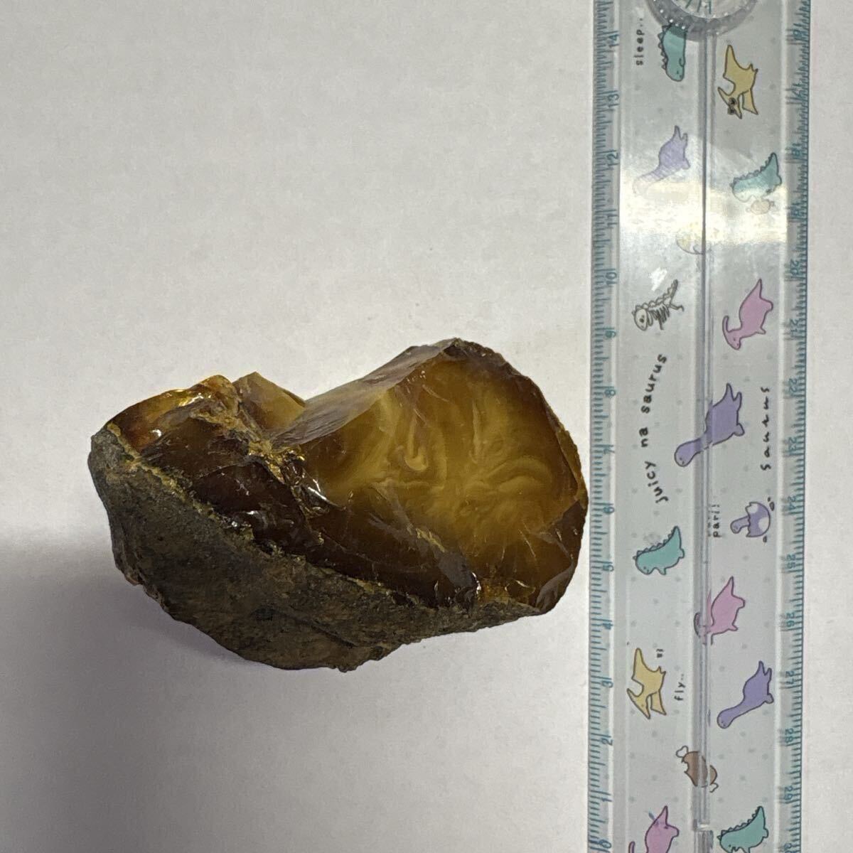 琥珀 アンバー 化石 宝石 原石 岩手県久慈産