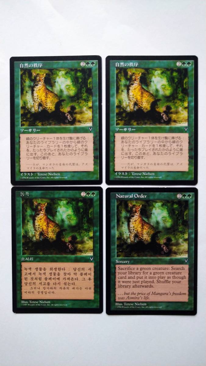 自然の秩序 英語 EMA foil 自然の秩序 英語 EMA foil ミントモール