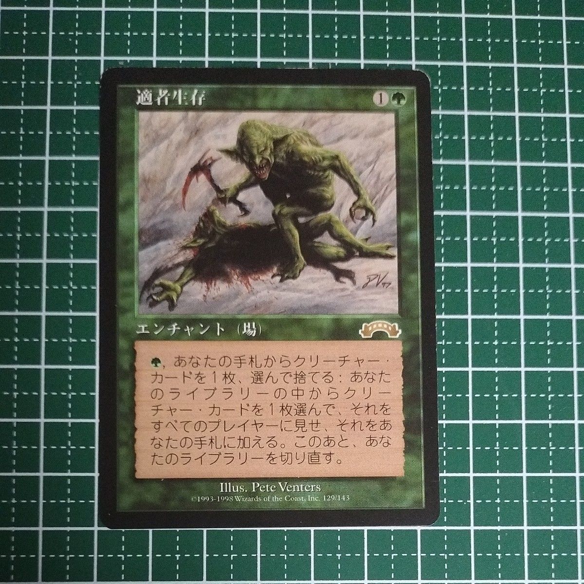 MTG 適者生存 日本語 1枚 適者生存/Survival of the Fittest MTG