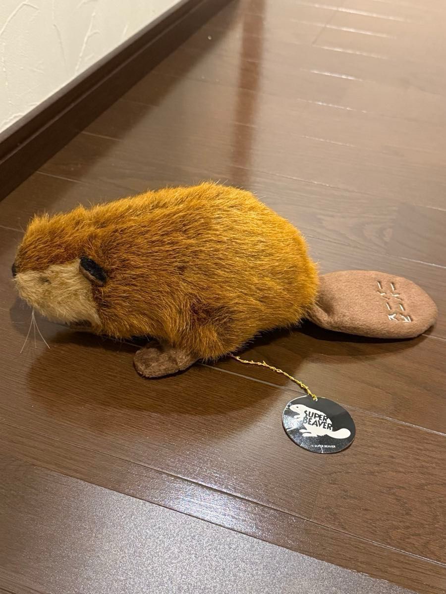 SUPER BEAVER ビーバー ぬいぐるみ SUPER BEAVER スーパービーバー