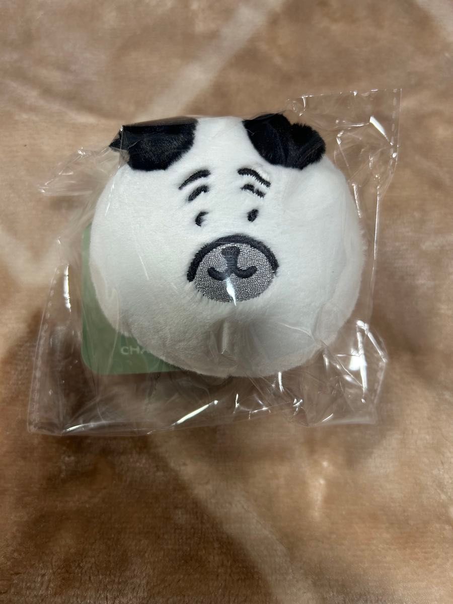 ナガノキャラクターズ ふわもち くまだらけ ぬいぐるみくじ E賞 おか