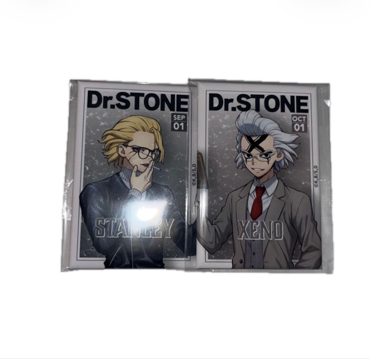 Dr STONE ゼノ スタンリー 缶バッジ くじ引き堂 読書の秋 ドクスト