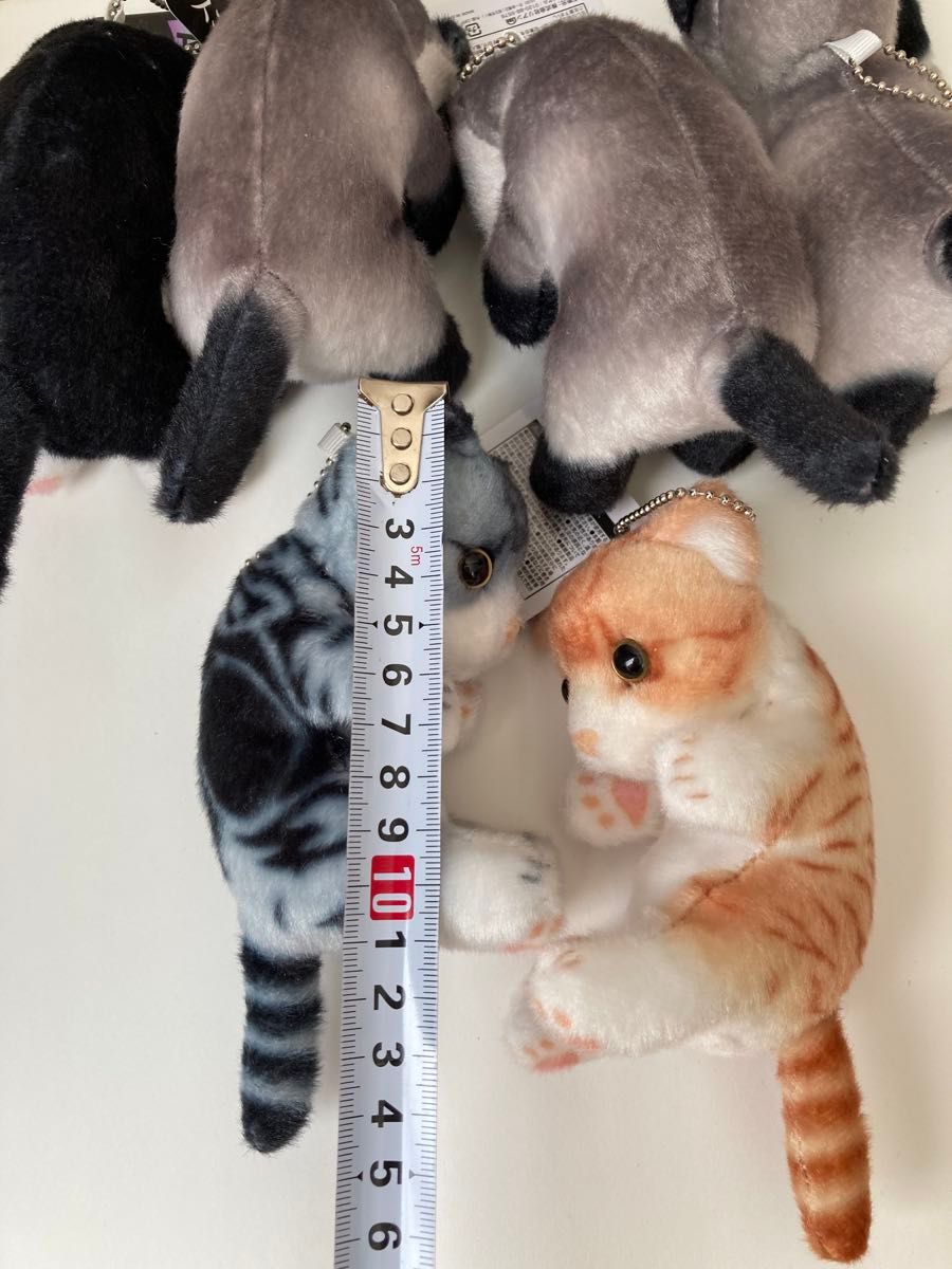 了解にゃんこマスコットBC リアルアニマル猫つまんでマスコットBC