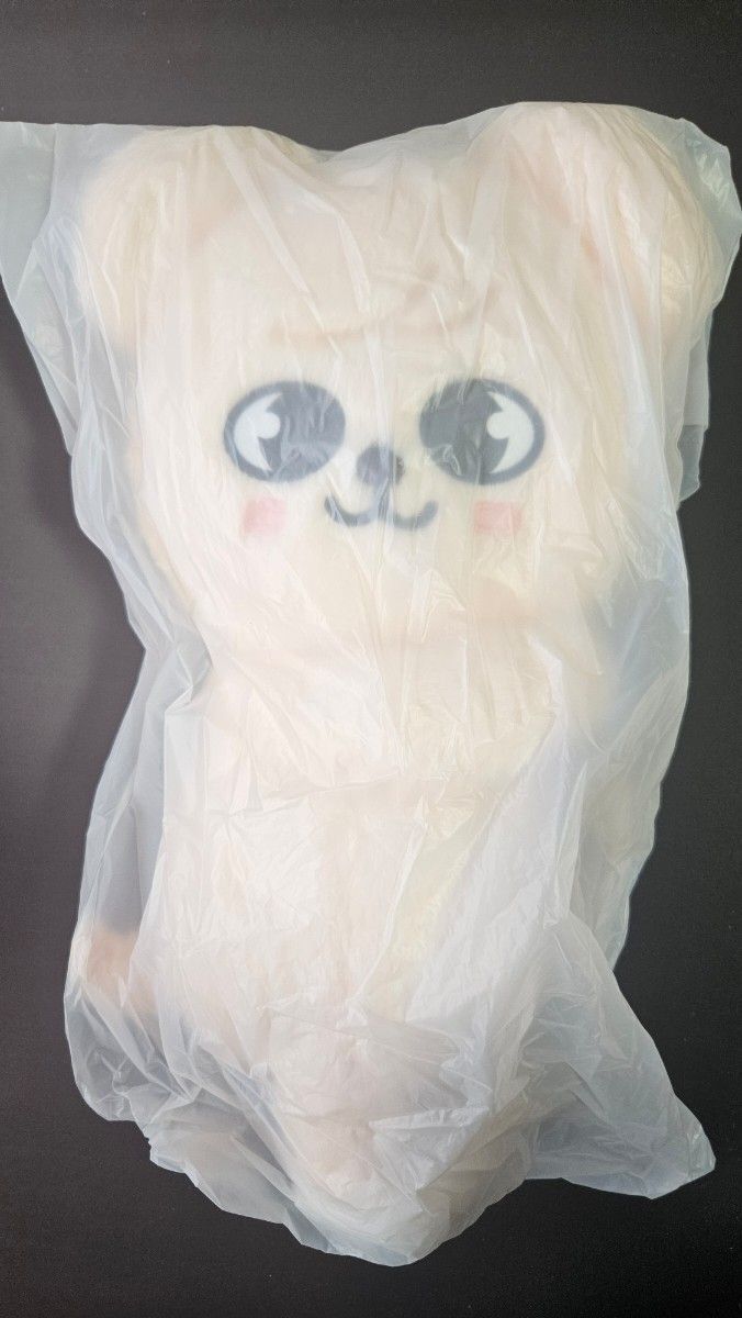 SKZOO PLUSH BAG puppyM パピーム｜Yahoo!フリマ（旧PayPayフリマ）