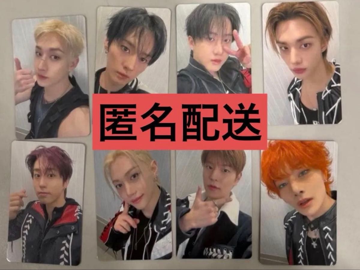 StrayKids hollow 2/1オフイベ会場限定トレカ 8枚コンプ｜Yahoo!フリマ