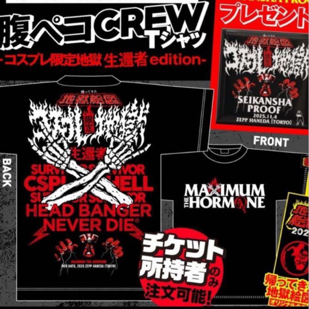 マキシマムザホルモン コスプレ地獄絵図生還者Tシャツ XLサイズ｜Yahoo