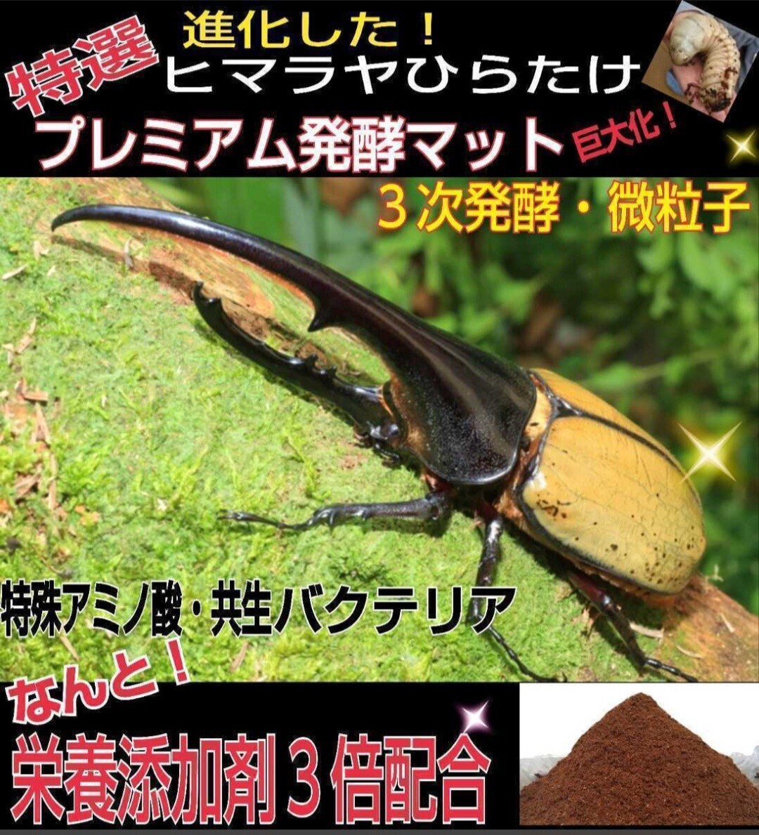 プロ仕様 極上 プレミアム3次発酵カブトムシマット【240L】特殊