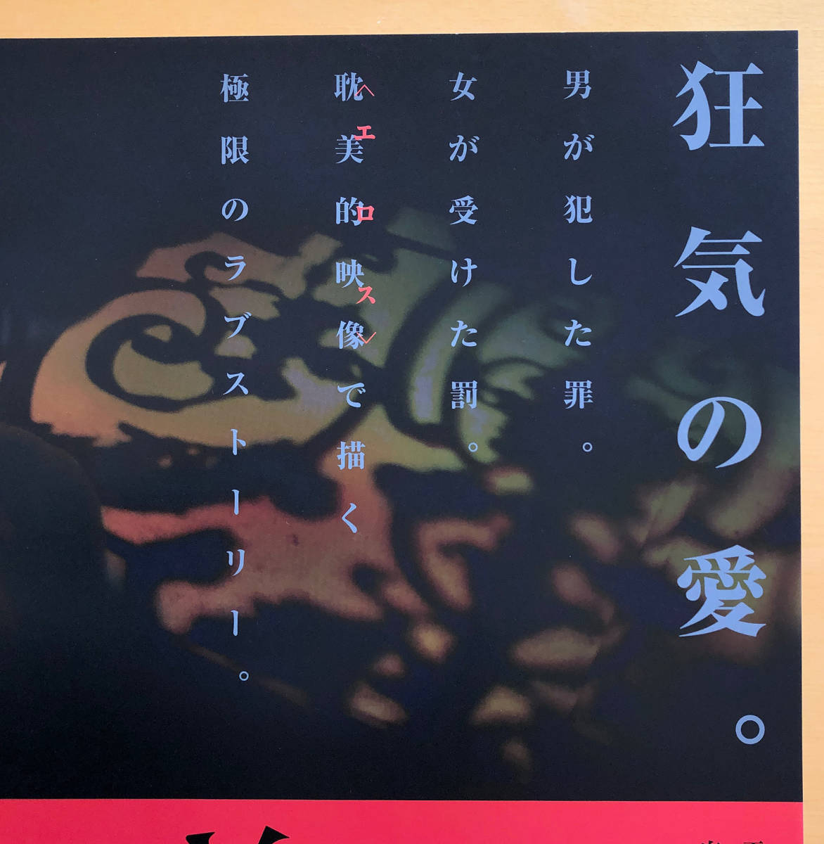 山之内すず 直筆サイン入りチェキ 【公式通販】