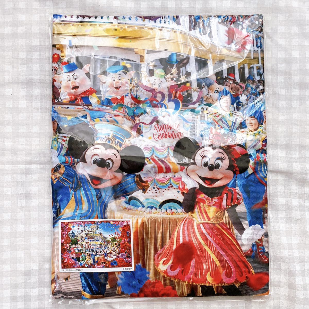 東京ディズニーリゾート TDL イマジニング・ザ・マジック バスタオル