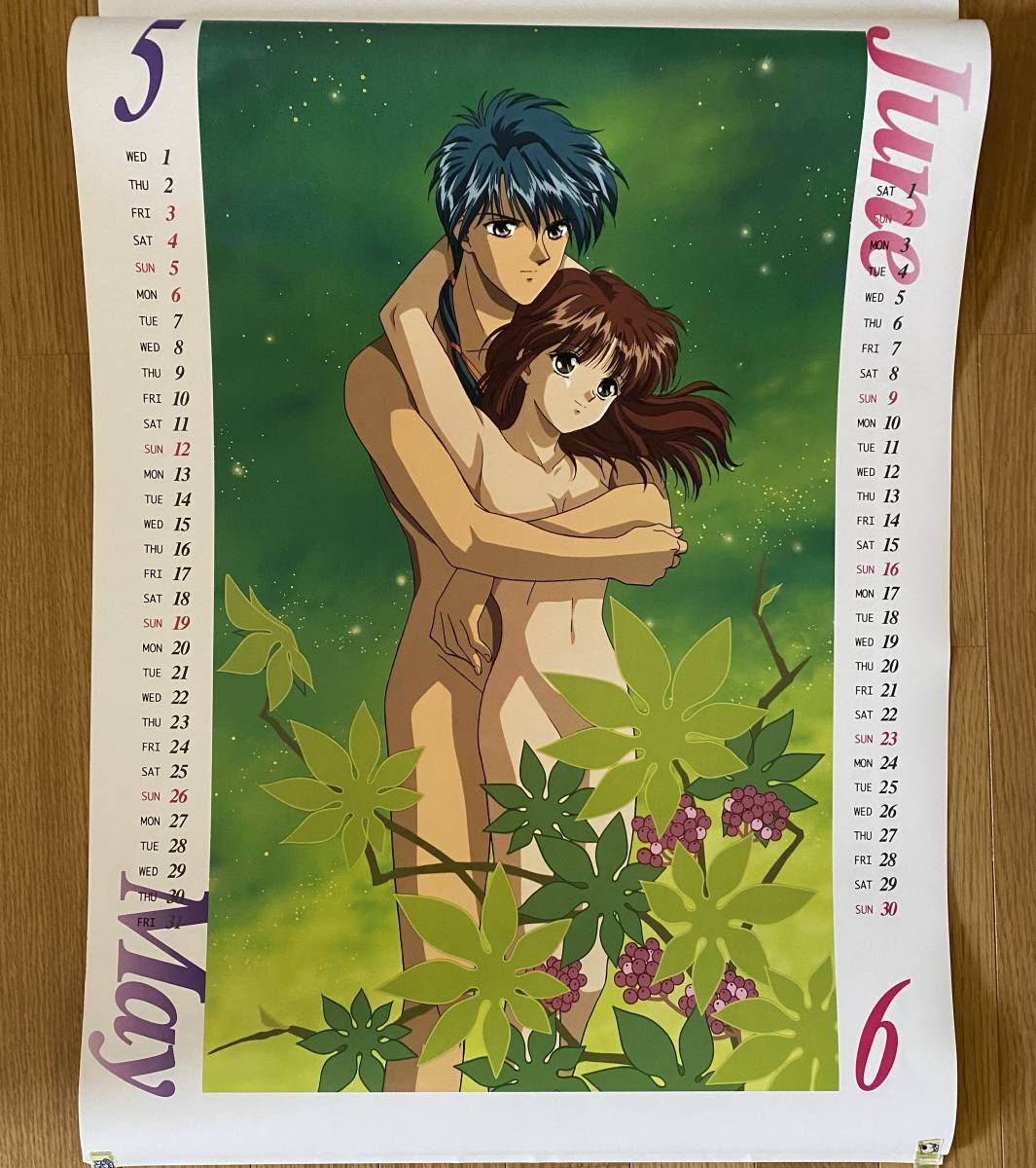 ふしぎ遊戯 レーザーディスク特典セット ふしぎ遊戯 レーザーディスク