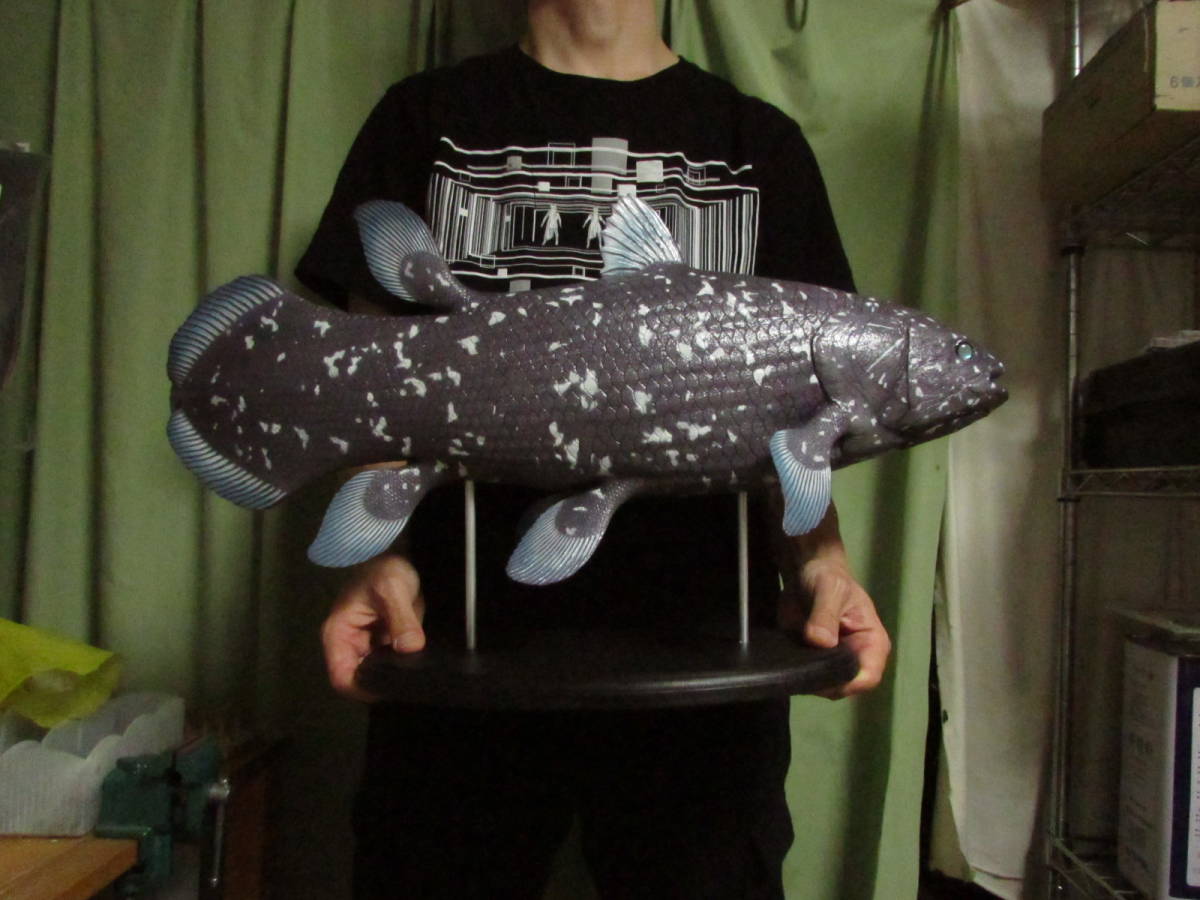 小売業者 ○ハンドメイド 手作り 61cmシーラカンス 魚模型