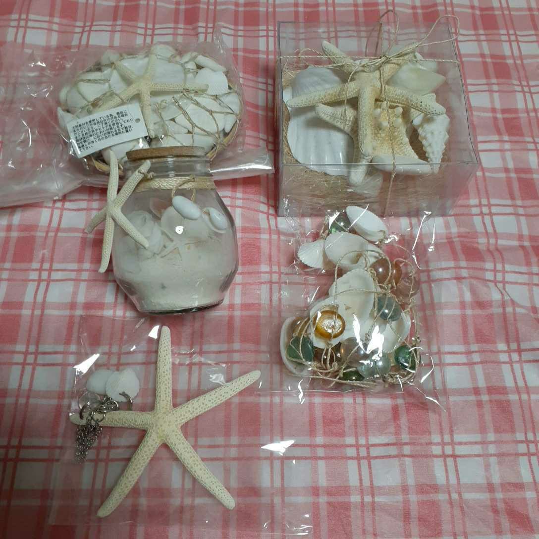 貝殻 5点セット 【公式通販】