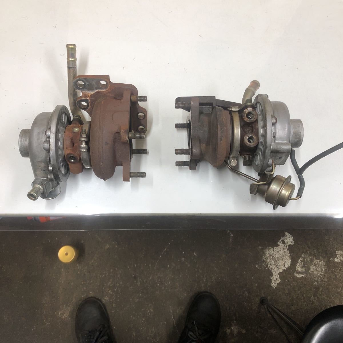 油彩 角田知可彦 「窓辺のしくらめん F6」