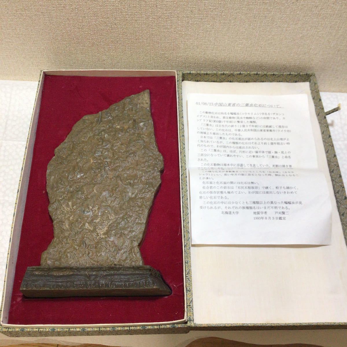 Yahoo!オークション - 三葉虫化石 中国山東省 簡易鑑定書付き 現状品