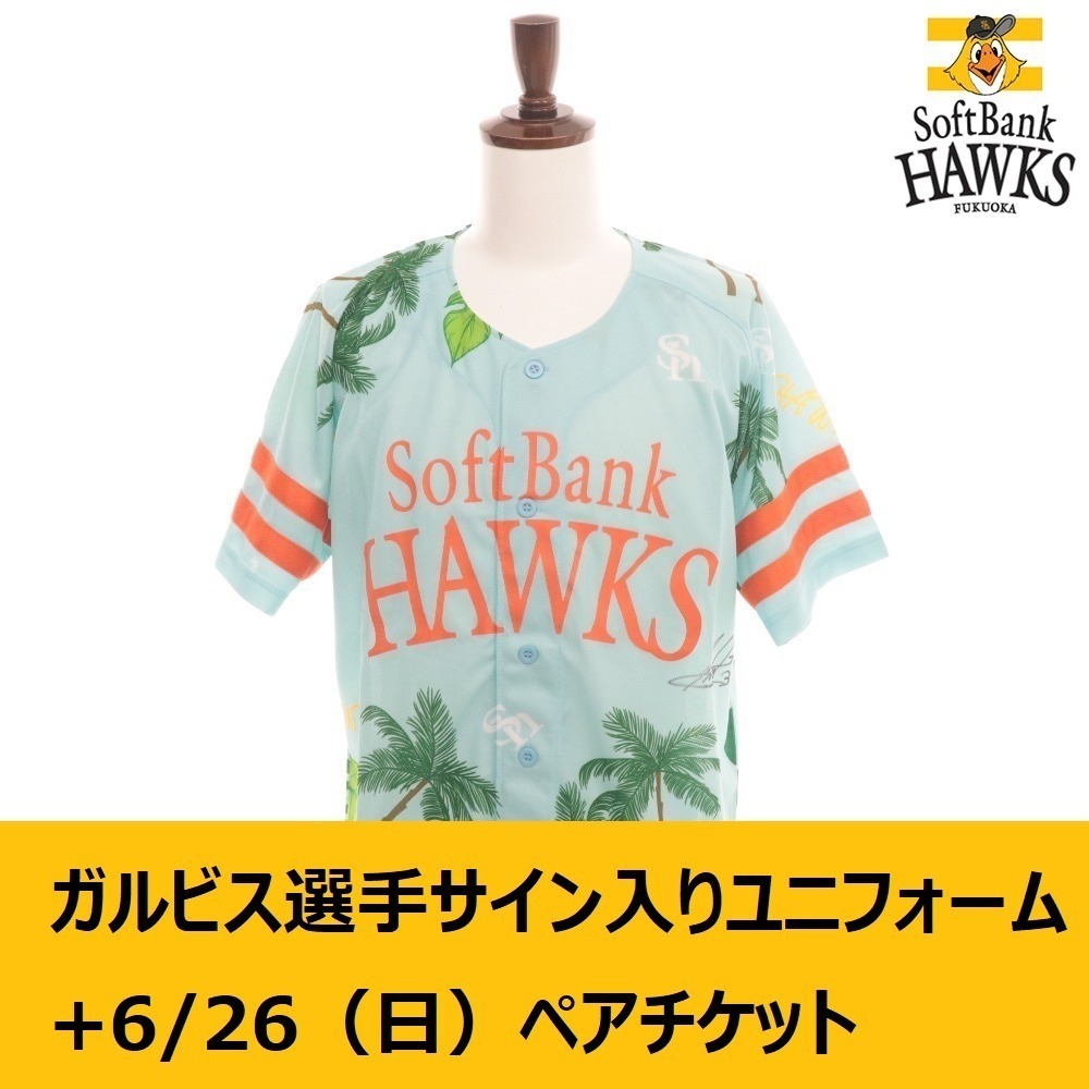三和化研 ダイヤル式 金庫 緑色 鍵付き 2024