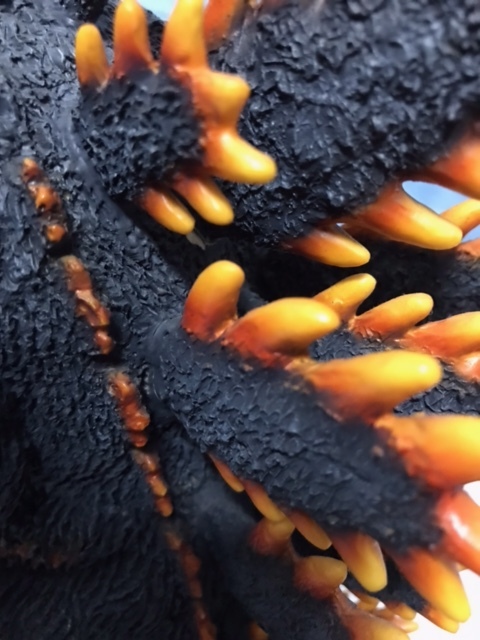 イマージュ 1995 バーニングゴジラ ガレージキット 完成品 ゴジラ