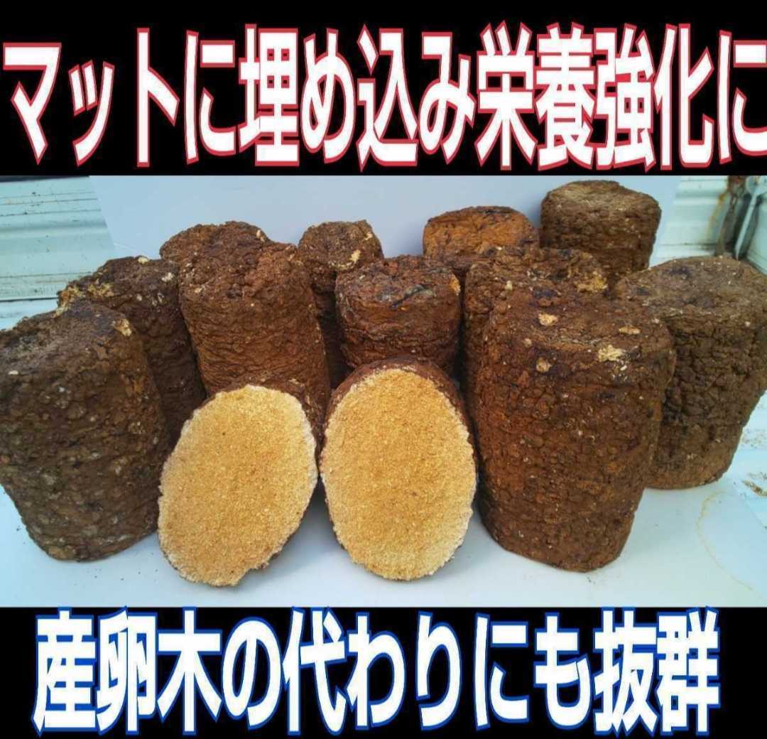 カブトムシ幼虫の栄養強化に 椎茸廃菌床【20ブロック】発酵マットに