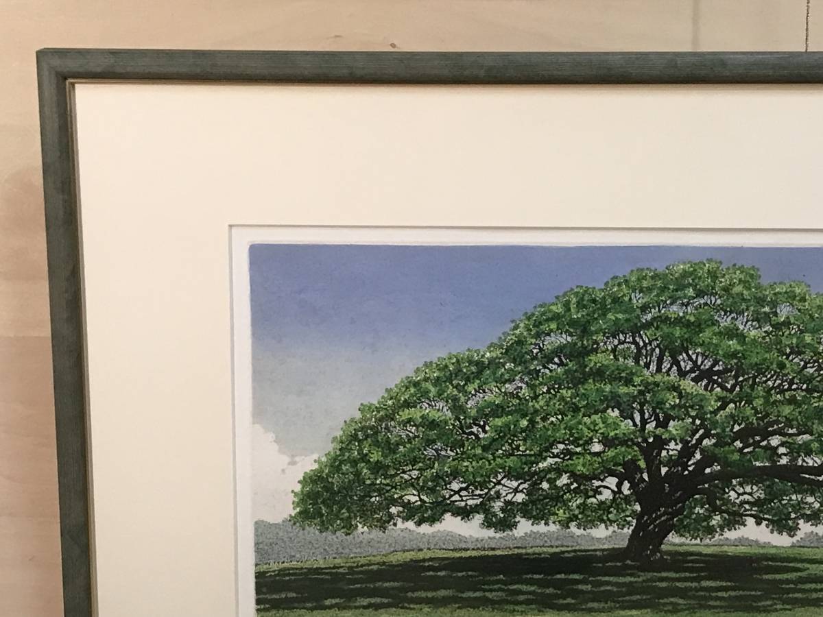 レア☆ キャロル コレット MOANALUA GARDEN Moanalua Gardens, Hawaii