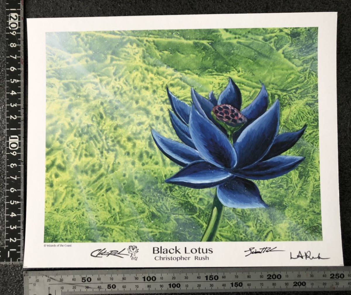 MTG Black Lotus ブラックロータス アートプリント｜Yahoo!フリマ（旧