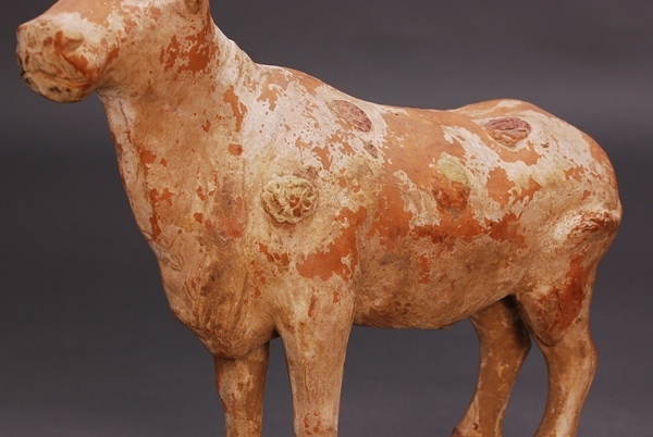 加彩牛 牛俑 陶俑 中国陶磁器 唐時代 北魏時代／検索語彙：中国