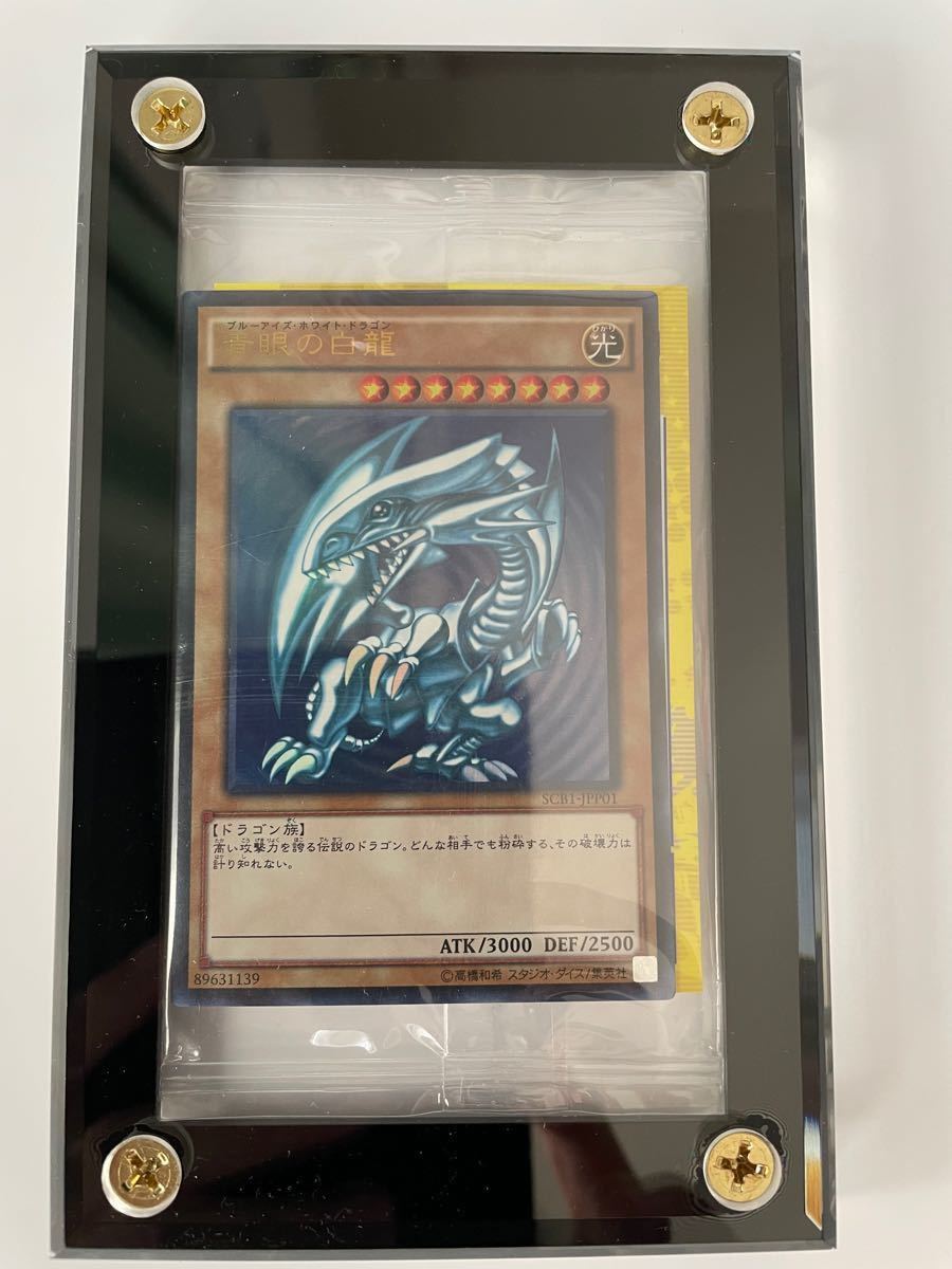配布枚数300枚】【未開封・秘蔵レア】カラーチラシ 青眼の白龍