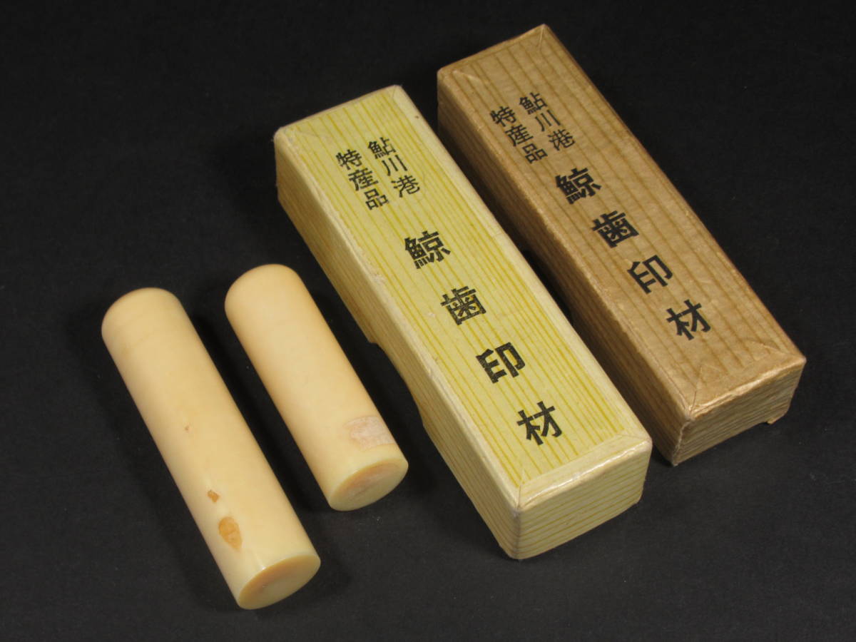 マッコウクジラ 鯨牙 鯨歯 天然素材 印材 彫刻 オブジェ マッコウ