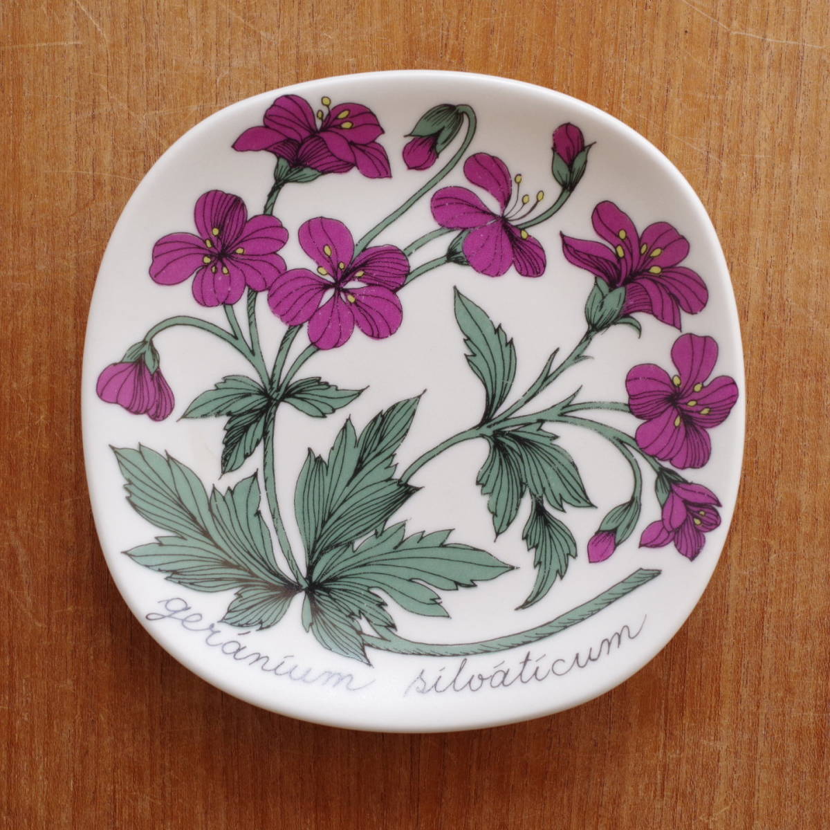 ARABIA ボタニカ Esteri Tomula 壁掛け絵皿