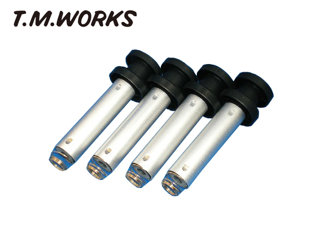 T.M.WORKS Ignite REV マツダ ビアンテ CC3FW (08/7-)