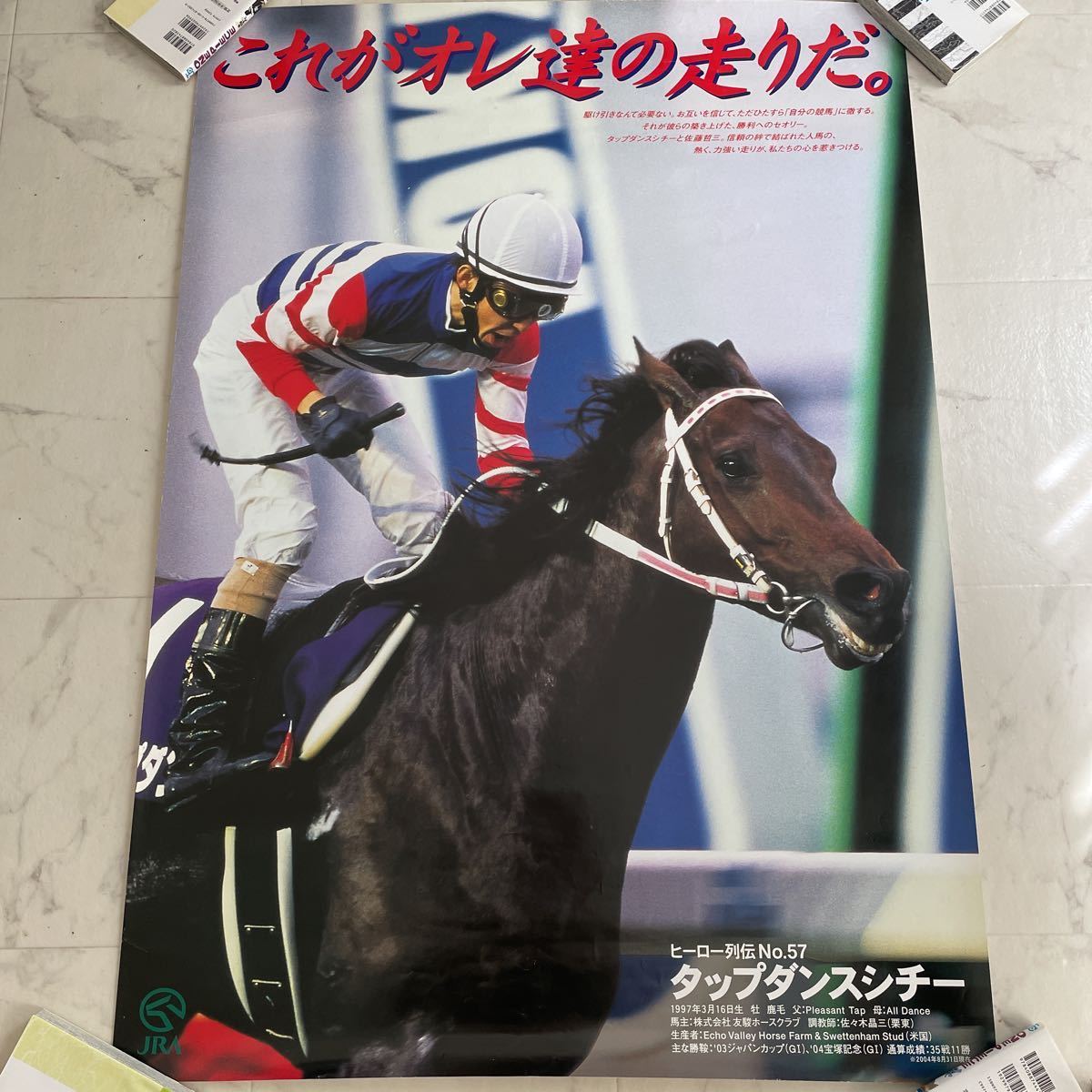 ヒーロー列伝 ウオッカ B3ポスター 【公式通販】