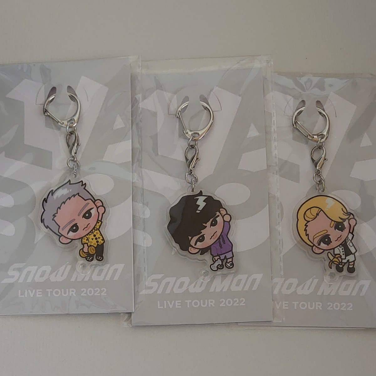 SnowMan すのチル アクリルキーホルダー スノラボ 9人 全員セット