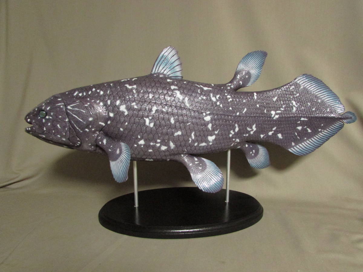 ハンドメイド61cmシーラカンス フィギュアレプリカ置物化石魚模型