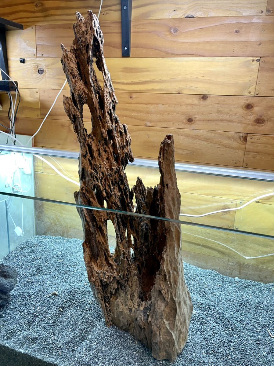 瘤杢 ワニのオブジェ 流木 古材 木製 置物 アート 芸術 アンティーク