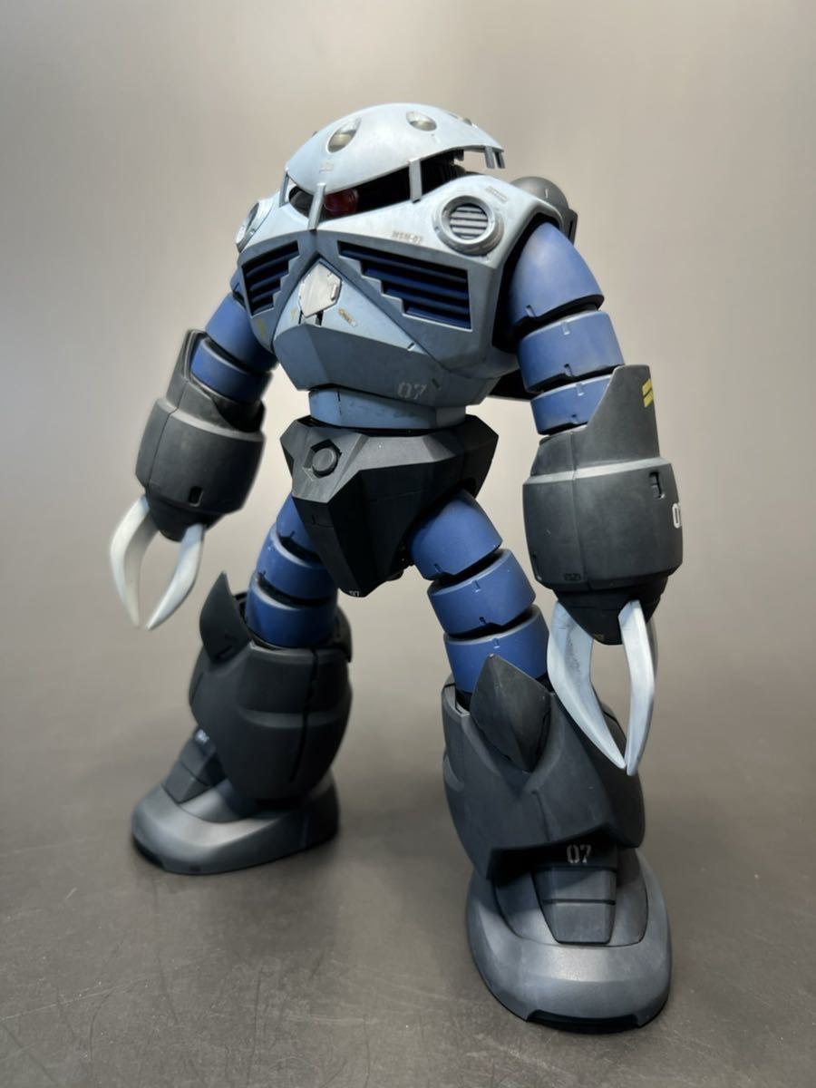 MG 1/100 MSM-07 ズゴック 完成品