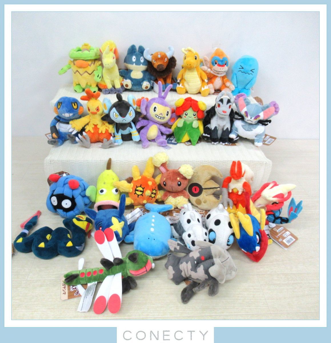 タグ付きあり ポケモンセンター FIT まとめ 大量 中古あり ぬいぐるみ