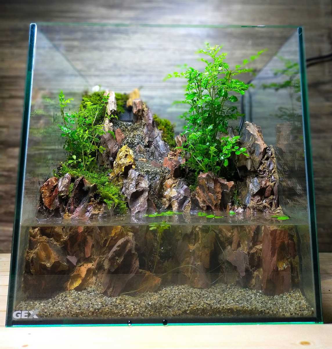 砂の滝の流れるアクアテラリウム アクアリウム No.1137 砂の滝の流れる