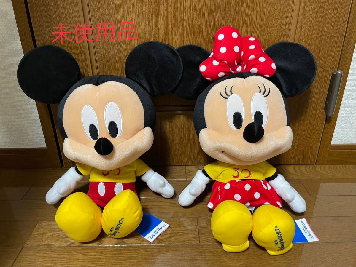 ディズニー ミッキー ミニー ぬいぐるみセット 30周年