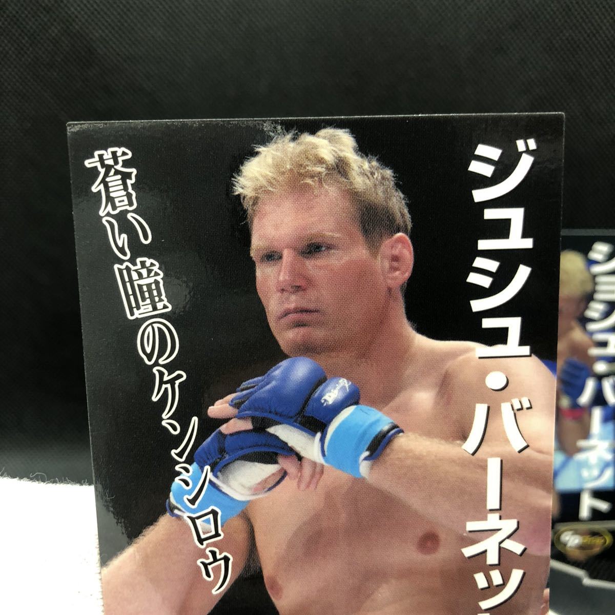 PRIDEカードコレクションGPエディション PRIDE CARD COLLECTION