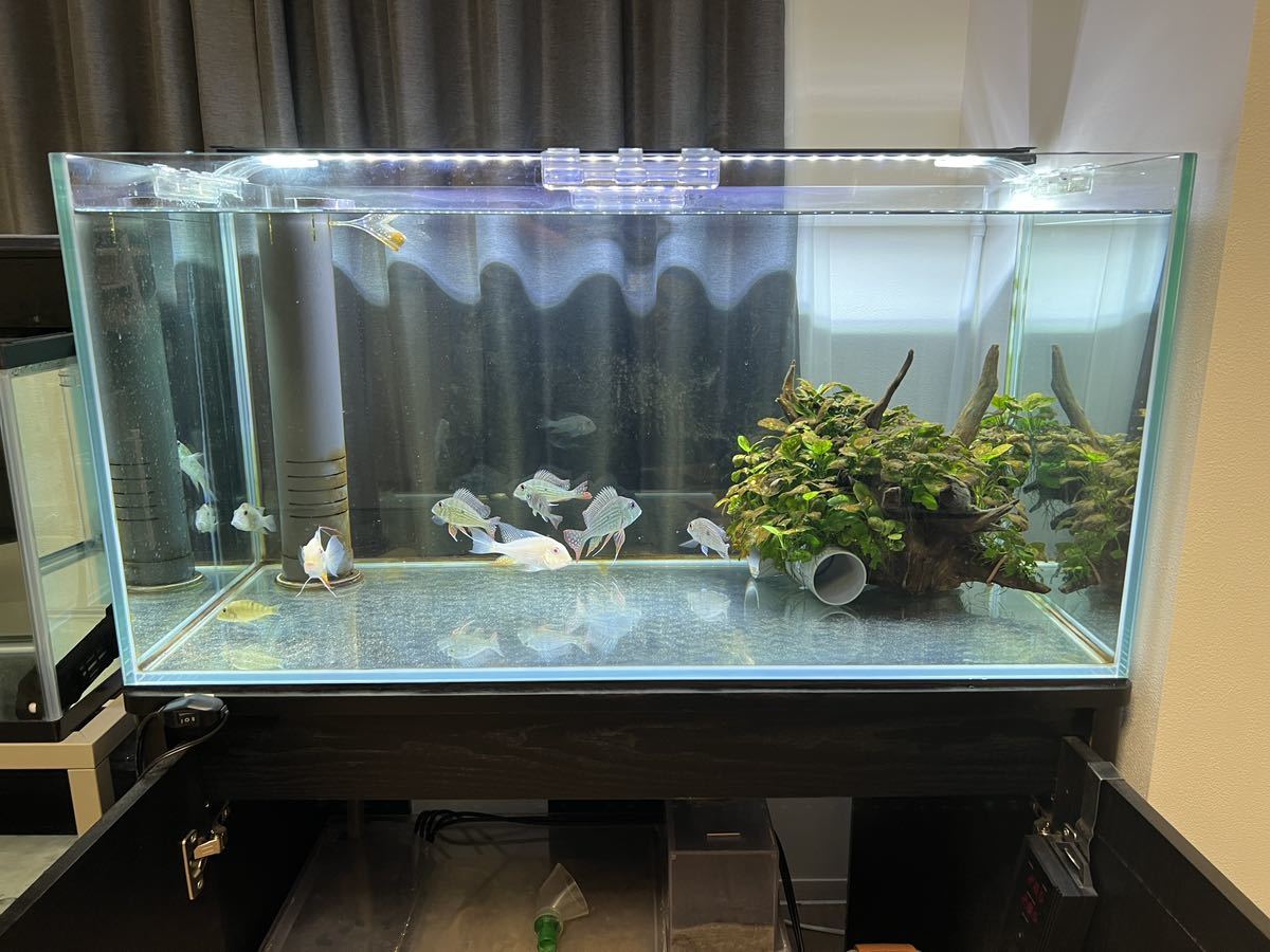 引き取り限定 オーバーフロー90センチ水槽 90cmオーバーフロー水槽