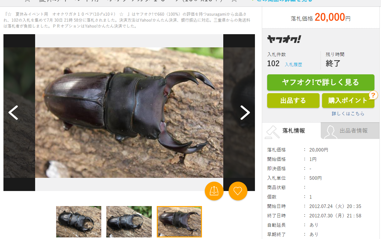 24万円もの値段のミヤマクワガタも!? いろんな”王者”を決めてみた