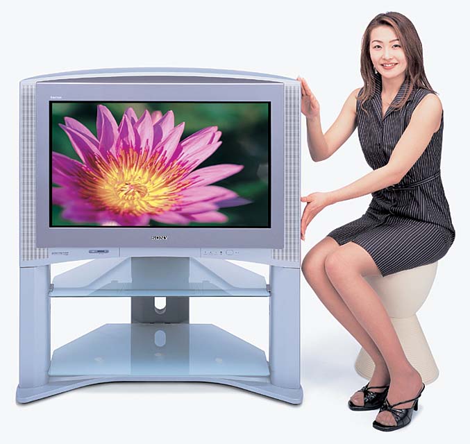 SONY WEGA KV-29DS1 ブラウン管テレビ 本体（リモコン付） 平面