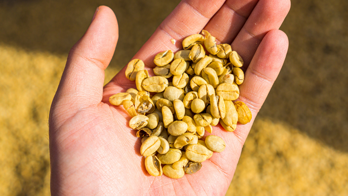 avercasso | コーヒー生豆AI自動選別機 – avercasso | AI Green Coffee