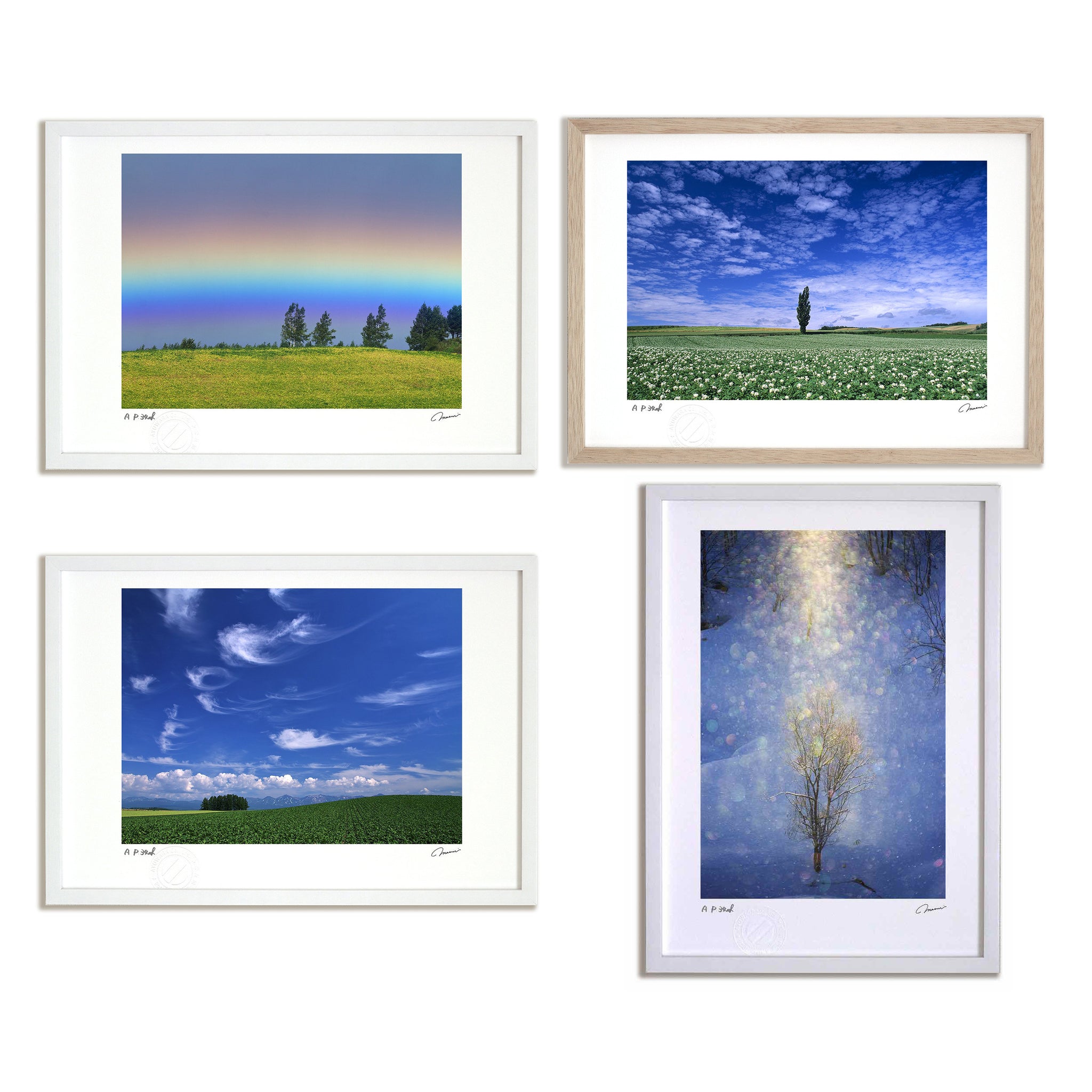 真作】版画 技法不明 地中海の風景 輝く青と白のコントラスト V114 真