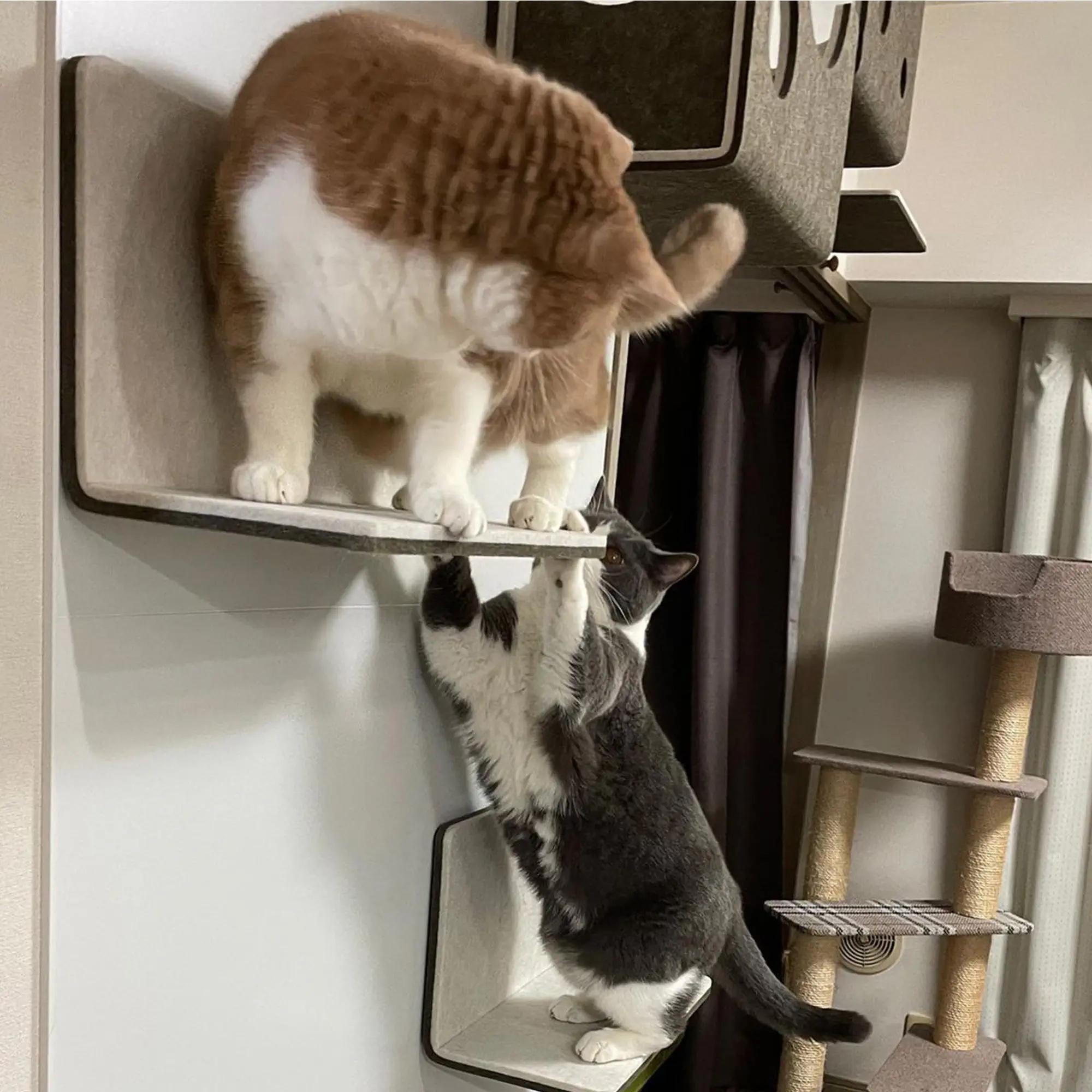 ステップ | キャットウォーク - 猫壁（にゃんぺき） | LIXIL