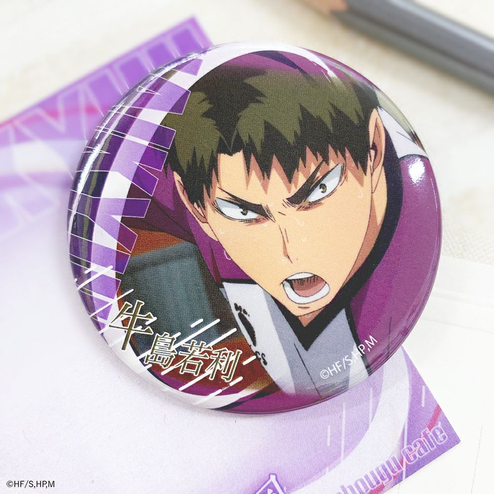 ハイキュー カラパレ バッジ より道 40点 牛島若利