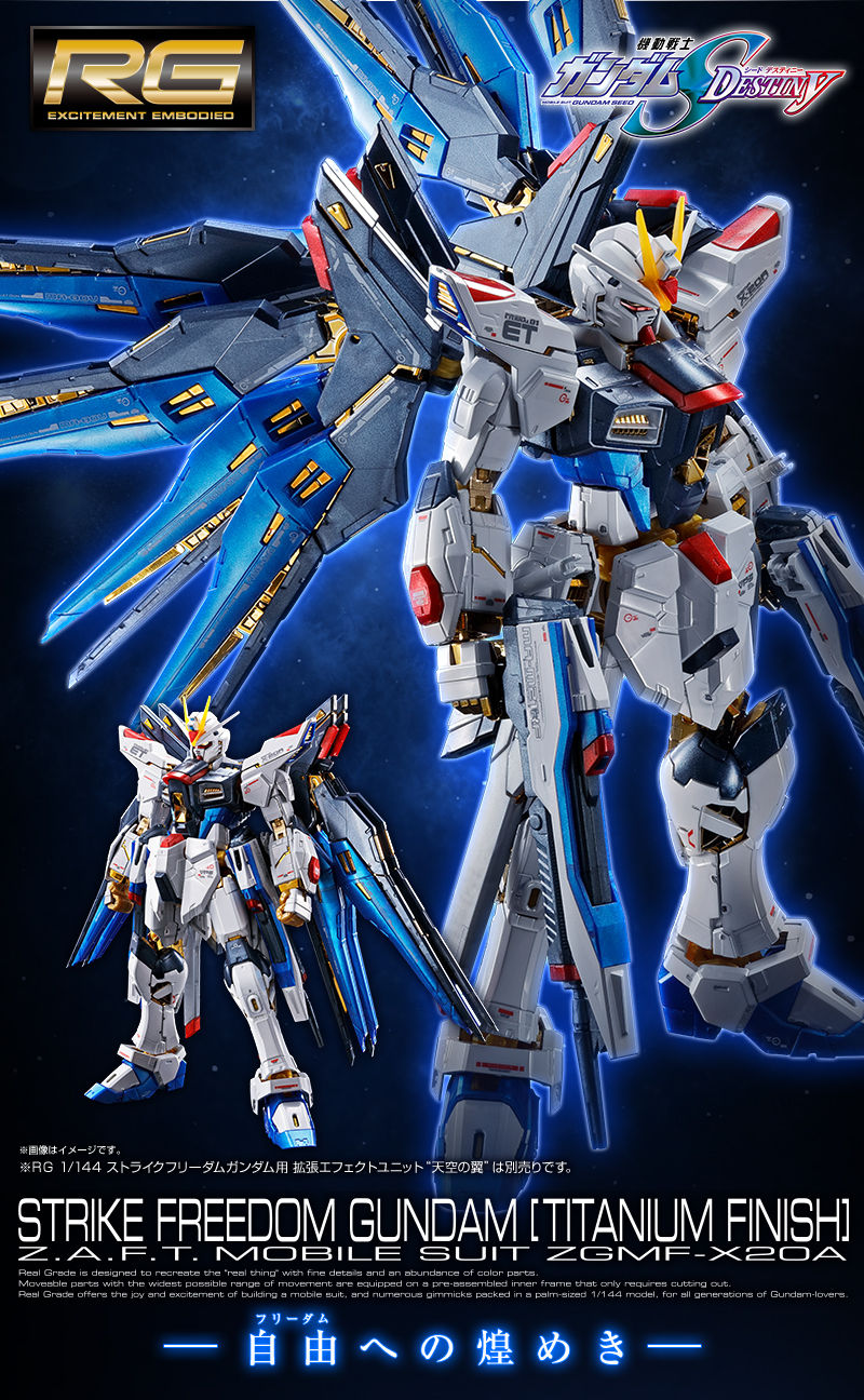RG ストライクフリーダム チタニウムフィニッシュ 天空の翼 HG