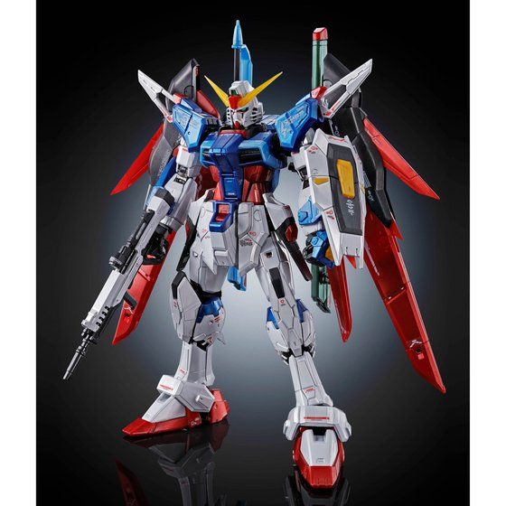 RG デスティニーガンダム チタニウムフィニッシュ& 光の翼 セット RG 1