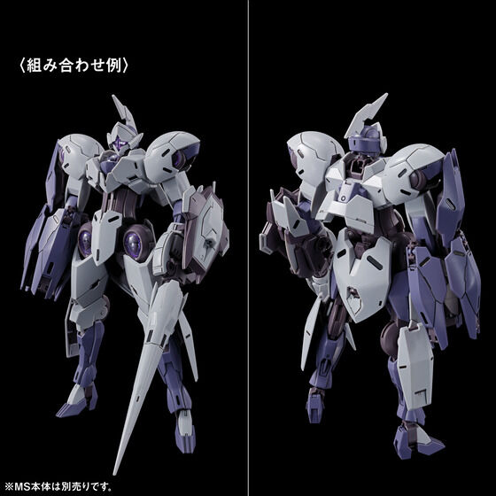 ガンプラ 【塗装済完成品】 HG 水星の魔女MSV風 ガンダムルブリス