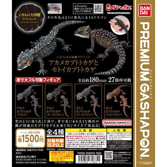 いきもの大図鑑アドバンス アカメカブトトカゲとモトイカブトトカゲ