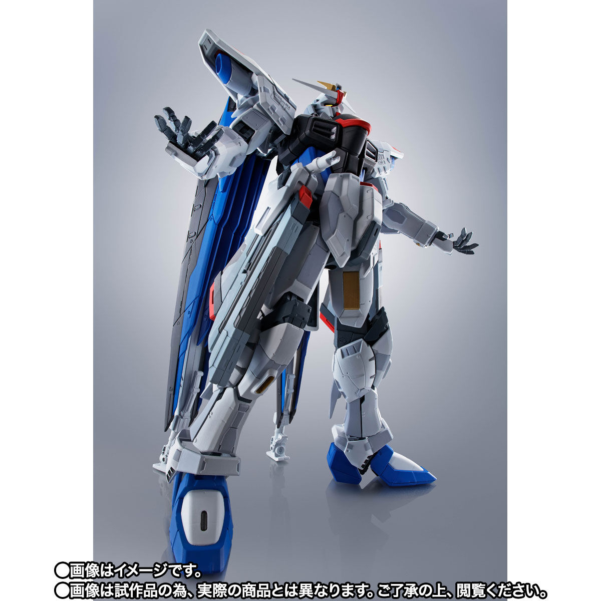 抽選販売】ROBOT魂 ＜SIDE MS＞ZGMF-X10A フリーダムガンダム Ver.GCP
