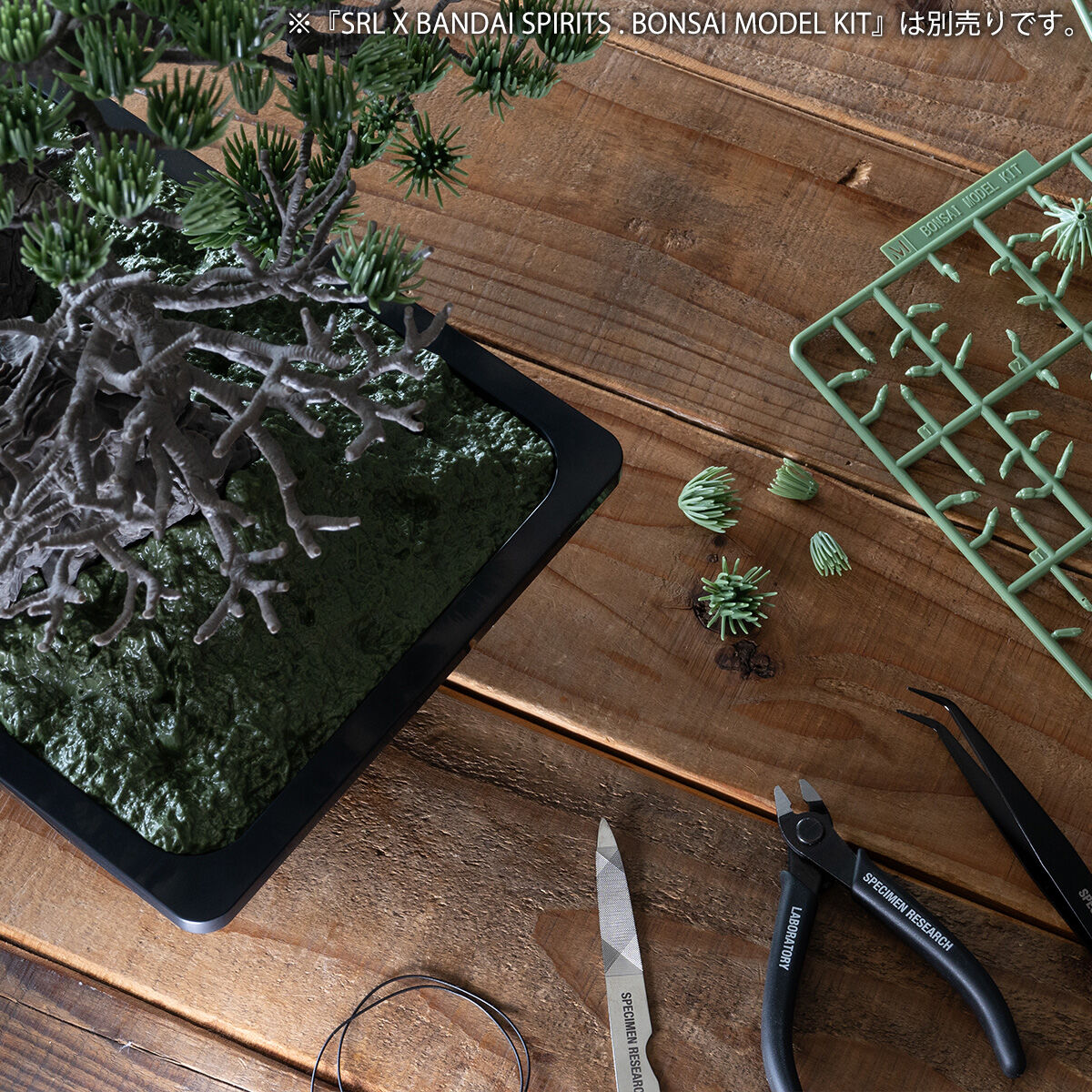 SRL X BANDAI SPIRITS . TOOL SET | フィギュア | アニメグッズ